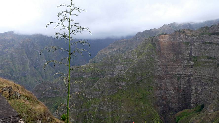 01-santo antao_061